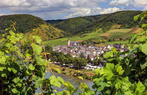 Moselhof Ferienwohnungen - Foto 2