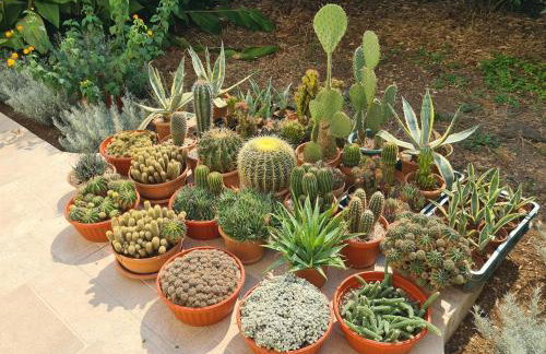 Apartments by the sea Broce, Peljesac - 13182 - Photo 15