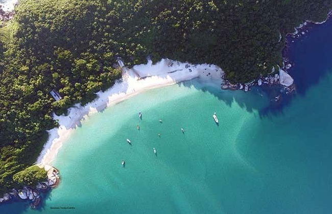 Excursion sur l'île de Campeche - Photo 1