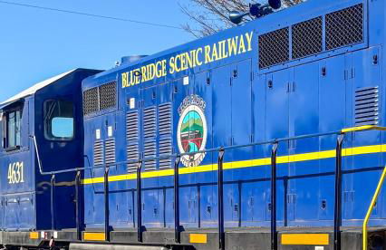 Blue Ridge Cozy Cabin-Hot Tub & Dog Friendly - Foto 16