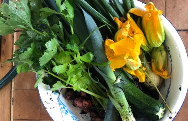 Les écolodges Sous Le Phare - Foto 122