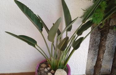 Villa Montsià - Foto 11