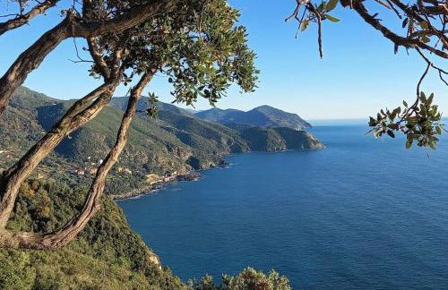 azienda agricola zulin casa elena - Foto 36