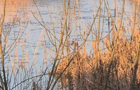 Ferienwohnung Jasmin - Foto 29