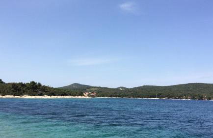 Apartmani Artatore - Foto 34