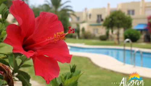 Casa Alegria Mojacar - Foto 2, Garden, Garden view