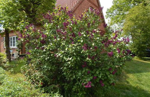 LANDHAUS LAAVE FERIENWOHNUNG - Foto 23