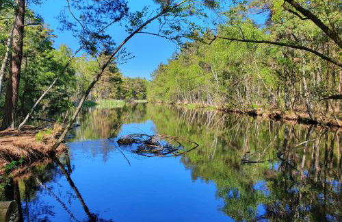 Ferienhof SchilfMeer - Fewo "Seepferdchen" - Foto 21