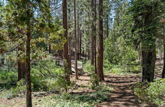 Enjoy Forest Views Retreat at Kingswood Village! - Photo 25