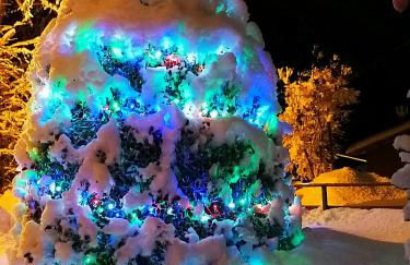 Appartamento Il Bosco Incantato - Foto 29