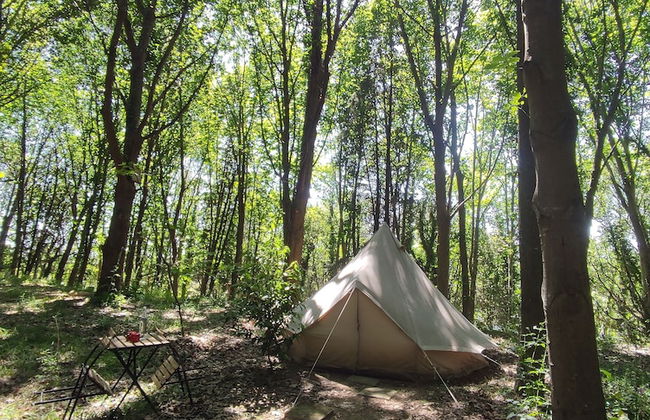 Associação Quinta das Relvas - Foto 12