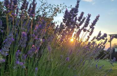 Podere Piana - Foto 4