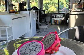 Onibus Casa VNI - Foto 30