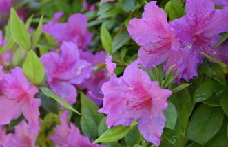 AnMa Cottages Sole Lago - Foto 75