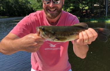 Stylish lake home with private beach, dock and firepit for swimming, kayaking, hiking - Foto 25