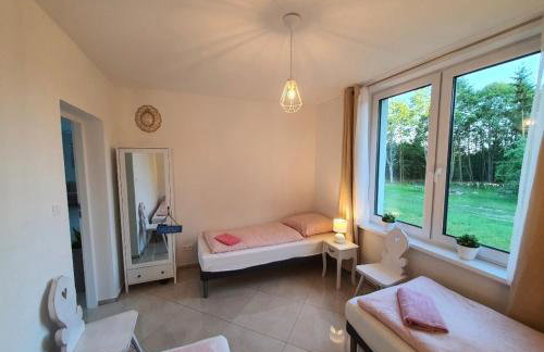 Dom wczasowy , nad jeziorem z możliwością wędkowania do 7 osób - Foto 14