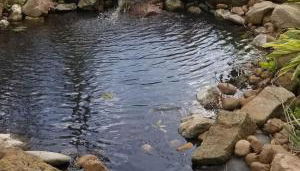 Residence at Creekside Estate - Foto 5