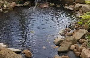 Residence at Creekside Estate - Foto 5