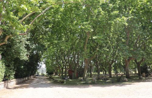 Château de Livière - Photo 10