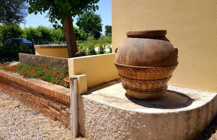 Punta dei Lecci - Foto 39