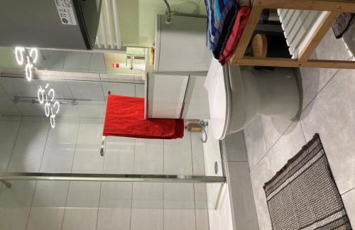 STRASBOURG PROCHE Petite France - Foto 3