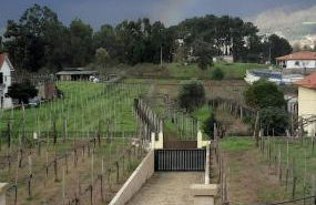 Quinta Alvaredo - Foto 23