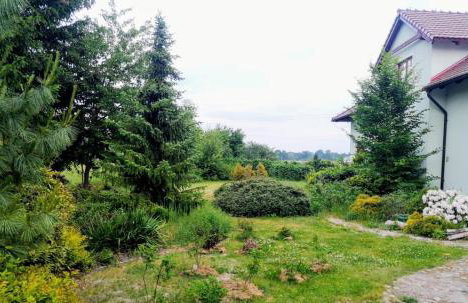 Apartamenty Zielona Góra - Foto 38