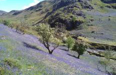 West Cumbria static caravan - Foto 51