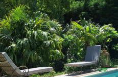 Cherche Midi - Foto 1