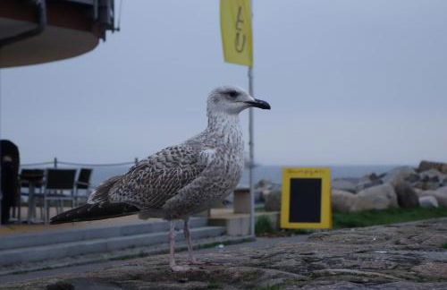 Fürstenhof - Foto 26