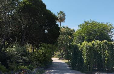 Appartement à proximité du jardin Olbius Riquier - Foto 27