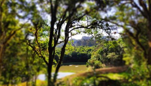 Refugio do Capivari - Foto 5