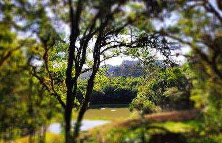 Refugio do Capivari - Foto 5