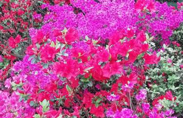 Villa Banfi - Foto 27