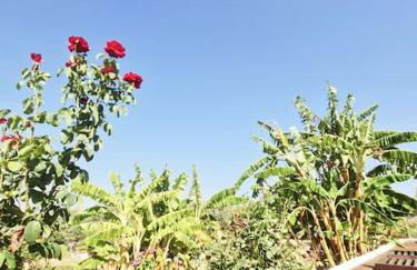 LECÉLESTE - Foto 16