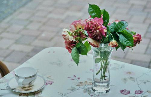 Ferienhaus Wagner - Photo 8