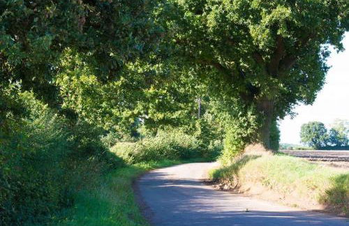 The Stables, relax in 5 star style and comfort with lovely walks all around - Foto 28