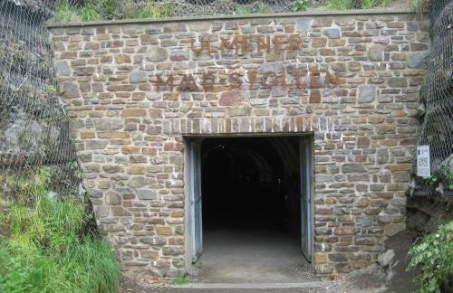 Ferienwohnung in der Vulkaneifel - Photo 26