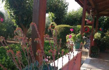 Monica's Country House - Foto 46