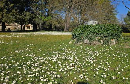 Domaine familial avec grand parc et piscine - Foto 11
