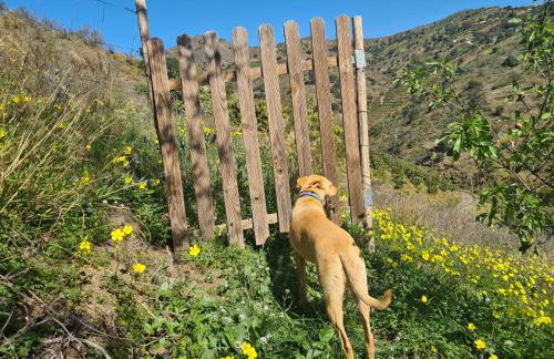 Rustic country cottage - Foto 7