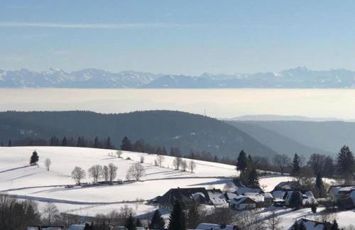Ferienwohnung im Schwarzwald mit Garten - Foto 38