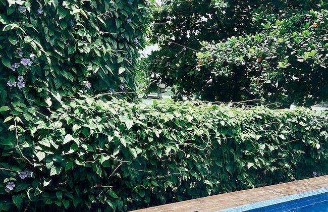 Villa by the Edge - Foto 20