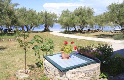 Apartments Bubica - Photo 7