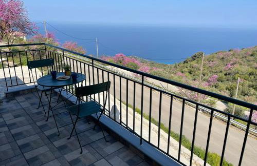 Loris’House - Photo 18