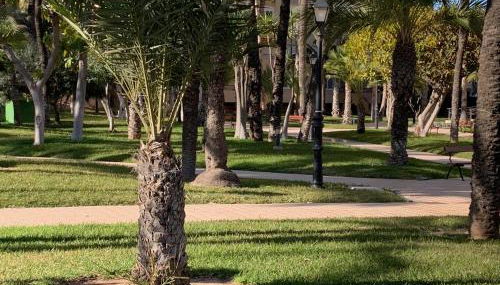Encantador Apartamento Torrevieja Playa - Foto 4, Garden, Garden view