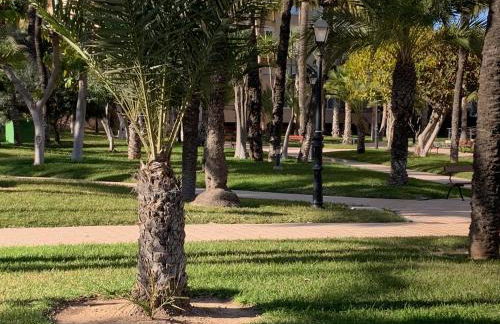 Encantador Apartamento Torrevieja Playa - Foto 4