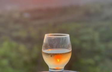 Eco Pousada Por do Sol - Foto 41