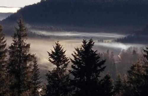 Charming Apartment, Harz Region - Foto 70