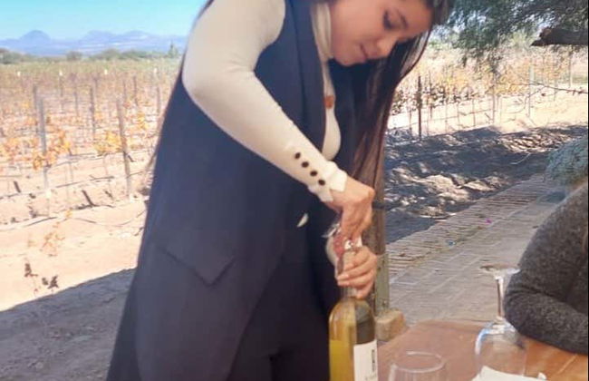 Aguascalientes Private Winery Tour - Foto 6